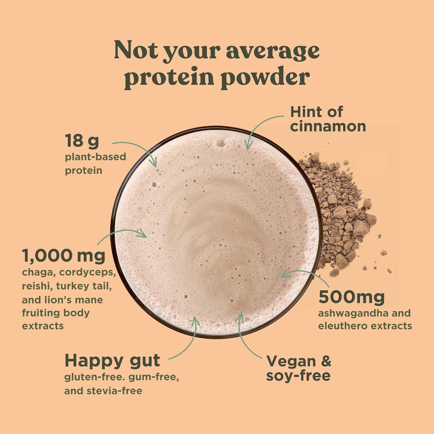 Organic Plant-Based Protein Powder Unflavored Protein with Lion’S Mane, Chaga, Cordyceps and More | Clean Vegan Protein Elevated for Brain Function and Immune Support | 16.9 Oz